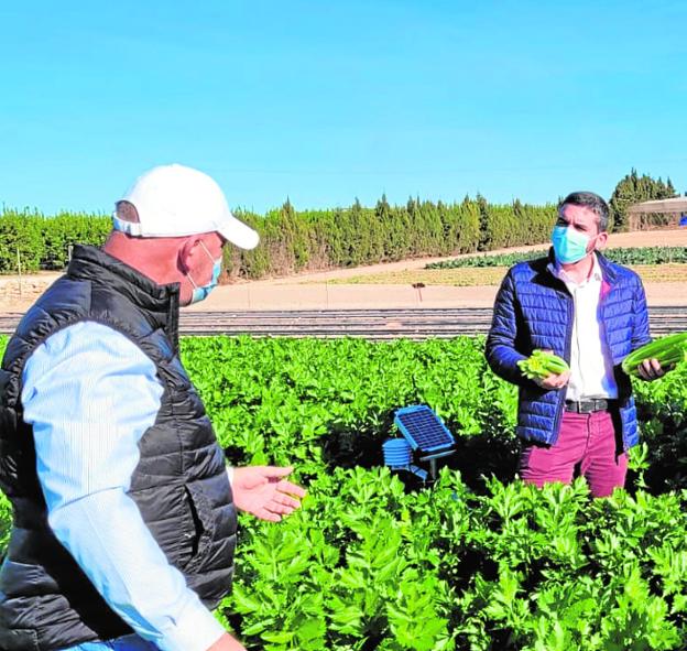 Iniciativa para ahorrar agua hasta en un 30% con el uso de polímeros en el cultivo