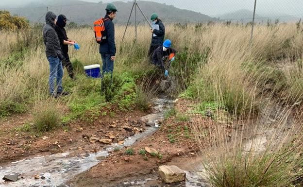 El Ministerio solo restaurará el solar de la vieja Balsa Jenny si la Comunidad sigue sin hacerlo