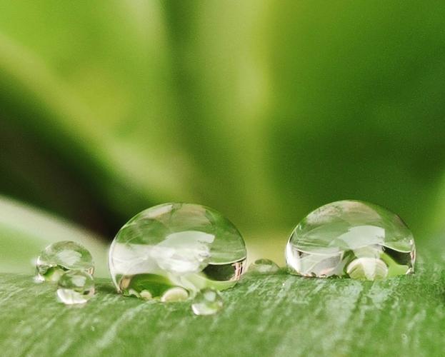 Las lágrimas de Europa