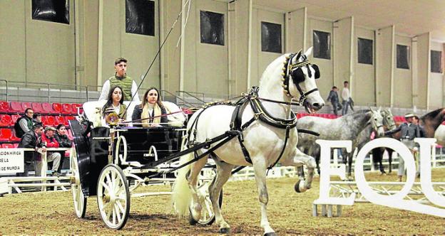 Equimur clausura la feria con los premios a los mejores caballos