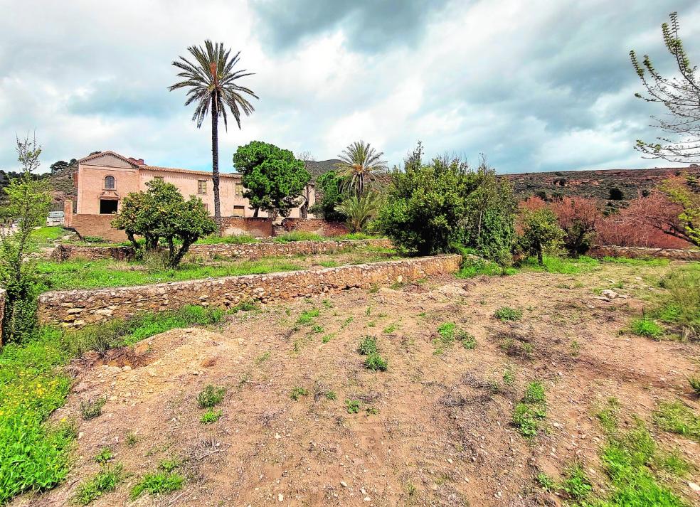 Cuidar el planeta por el estómago