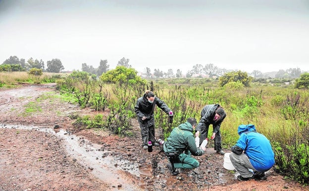 El juez ordena a Medio Ambiente frenar con urgencia los vertidos de la Balsa Jenny al Llano y al Mar Menor