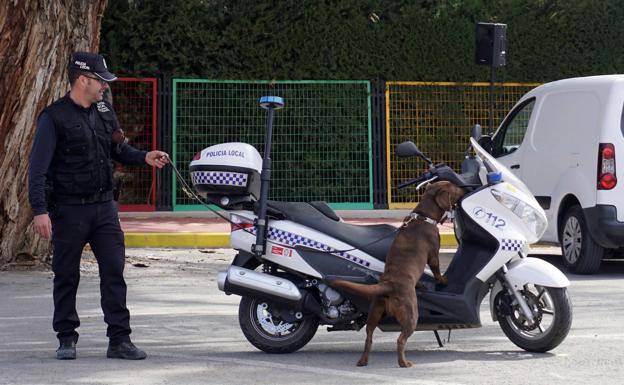 La Policía Local de Las Torres de Cotillas celebra una exhibición canina.