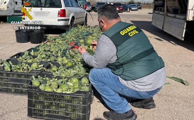 Desarticulado un grupo delictivo en Murcia dedicado a la sustracción de productos del campo