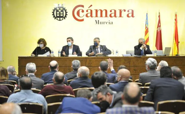 Meeting of the Water Council of the Segura Basin, this Friday at the Murcia Chamber of Commerce.