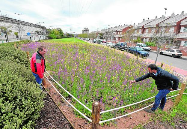 Murcia abandona el césped y prefiere las flores silvestres