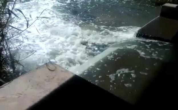 ANSE denuncia vertidos al Mar Menor desde la Rambla del Albujón
