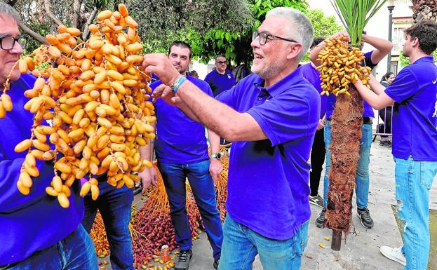 Dátiles para la fertilidad