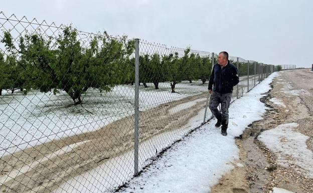 Una fuerte tormenta de granizo causa varios destrozos en el campo de Cieza