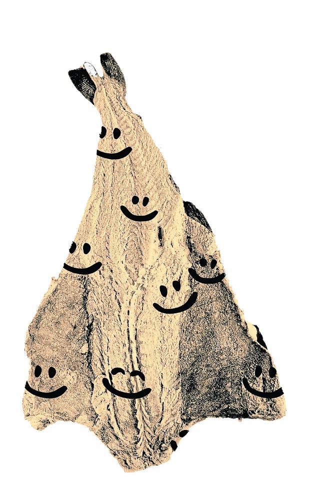 Otra de bacalao, por favor