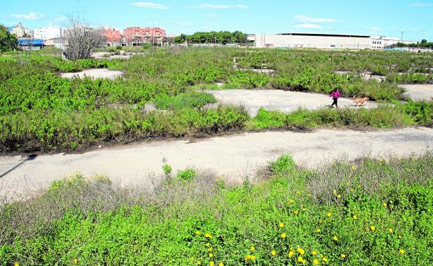 El Ministerio sopesa hacer la Ciudad de la Justicia de Cartagena en otros terrenos de Santa Lucía o en San Ginés