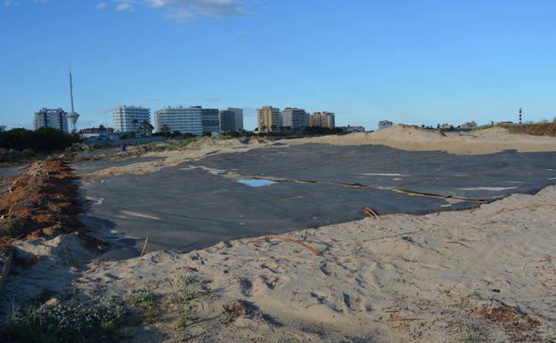 ANSE elimina 16.000 plántulas de acacia y solariza 4.000 m2 de arenales contra la vegetación invasora en La Manga