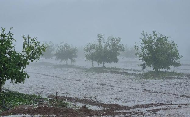 Una tormenta de granizo propina otro duro golpe al campo