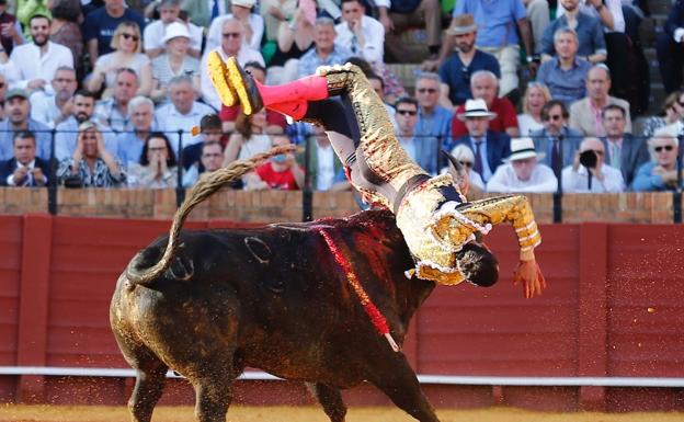 Paco Ureña suffers a catch in his first bull this Thursday in Seville. 