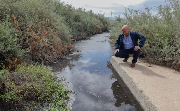 IU denuncia vertidos contaminantes del curtido al río en Marchena