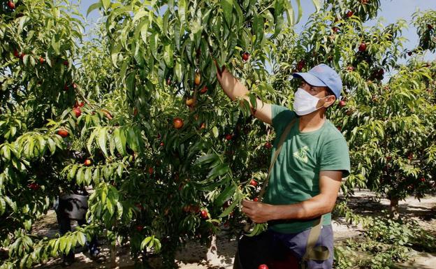 La mitad de los contratos indefinidos en la Región se corresponden con fijos discontinuos
