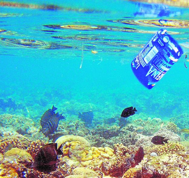 El plástico, el gran enemigo del medio ambiente