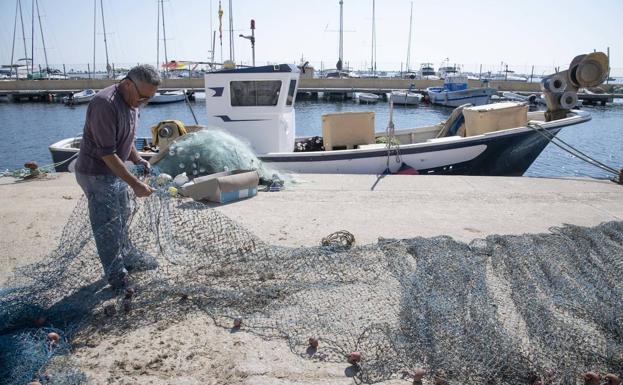 Las algas frenan la campaña del langostino y merman otras especies del Mar Menor