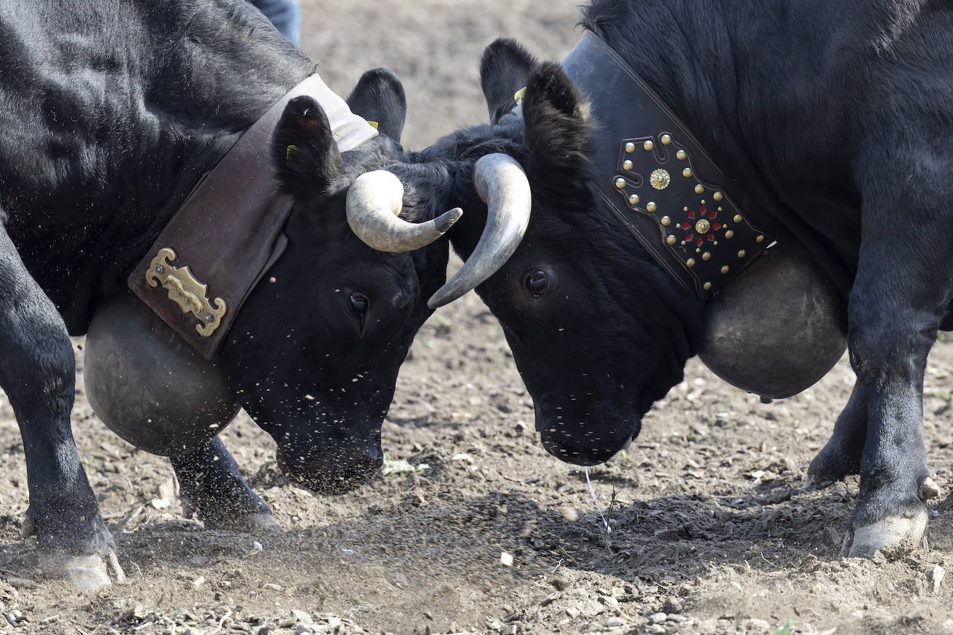 Sólo puede quedar una