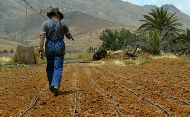 Publicada en el BOE la orden de módulos del IRPF con rebaja fiscal para casi un millón de agricultores y ganaderos