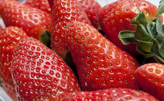 Trucos para conservar las fresas en buen estado durante más tiempo