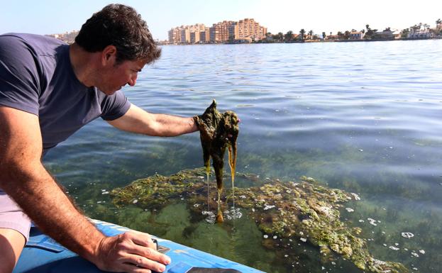 El Mar Menor contiene la respiración