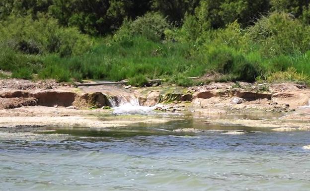 Así está el Mar Menor en la desembocadura de la rambla de El Albujón