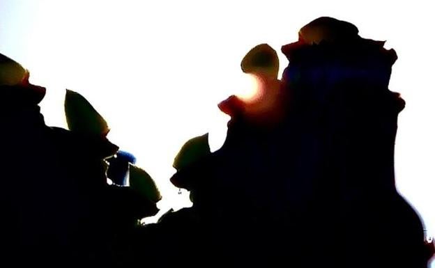 Destellos entre sombras