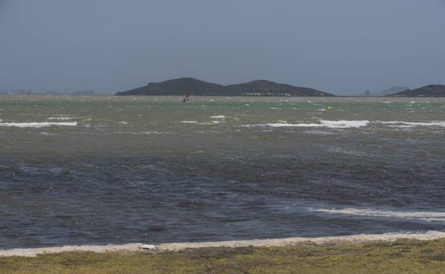 La Consejería asegura no detectar anoxia en los puntos críticos del Mar Menor
