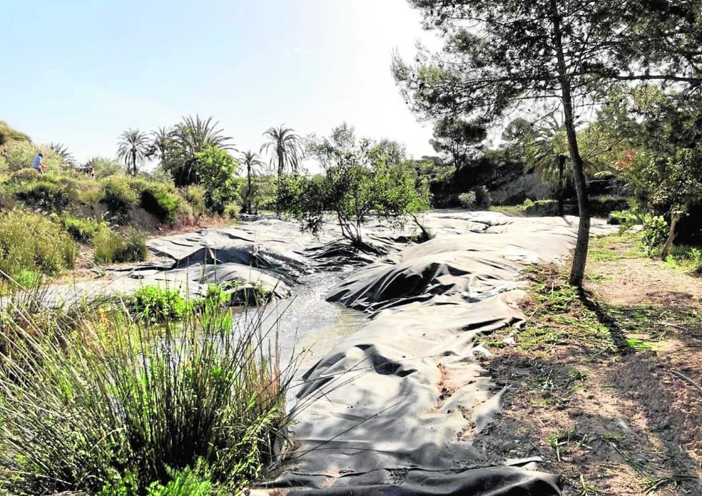 Recuperar el Chícamo