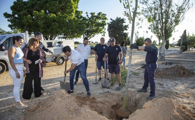 The mayor of San Javier, José Miguel Luengo, at the plantation of the first hackberry trees. 