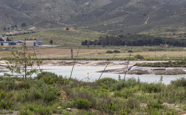 Luengo admite el retraso en vaciar las balsas de Zinsa y dice que es un asunto «complejo»