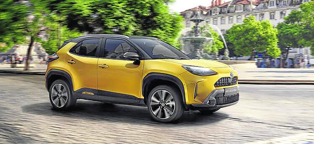 El compañero ideal para la ciudad