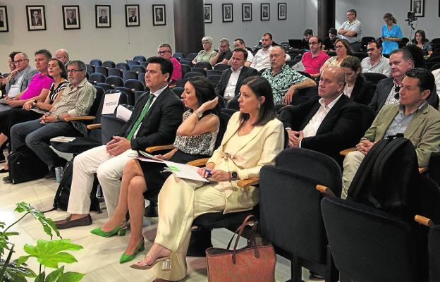 Luengo: «Esperamos que las ayudas reduzcan el impacto económico en el ciudadano»