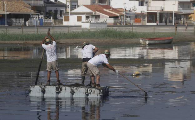 El Mar Menor recupera valores normales de oxígeno y la entrada de nitratos baja un 64%
