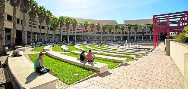 Universidad de Alicante: diversidad de grados en todas las áreas del conocimiento