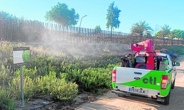 El mosquito tigre vuelve a atacar en la huerta y el campo de Molina