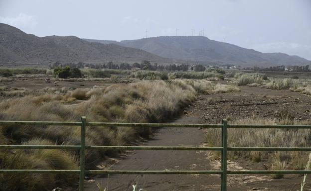 Los empresarios critican el encargo a Tragsa de restaurar las ramblas de la Sierra Minera