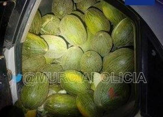 Dos detenidos en la pedanía murciana de Lobosillo como presuntos autores de un robo de melones