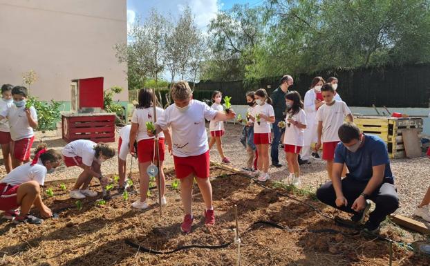 Seis mil escolares de la Región de Murcia estudian la contaminación y la sequía con el proyecto Naturaliza