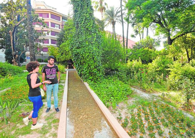 Conciertos, cine, deportes y aventura llenan las propuestas estivales en Murcia