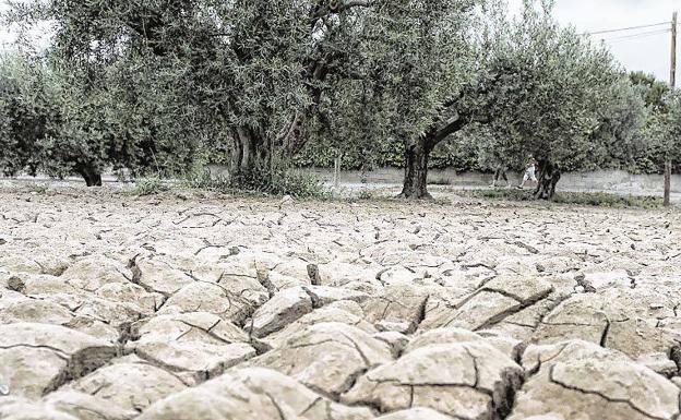 La Región de Murcia se encuentra en el «puesto más desfavorable» frente a la desertificación