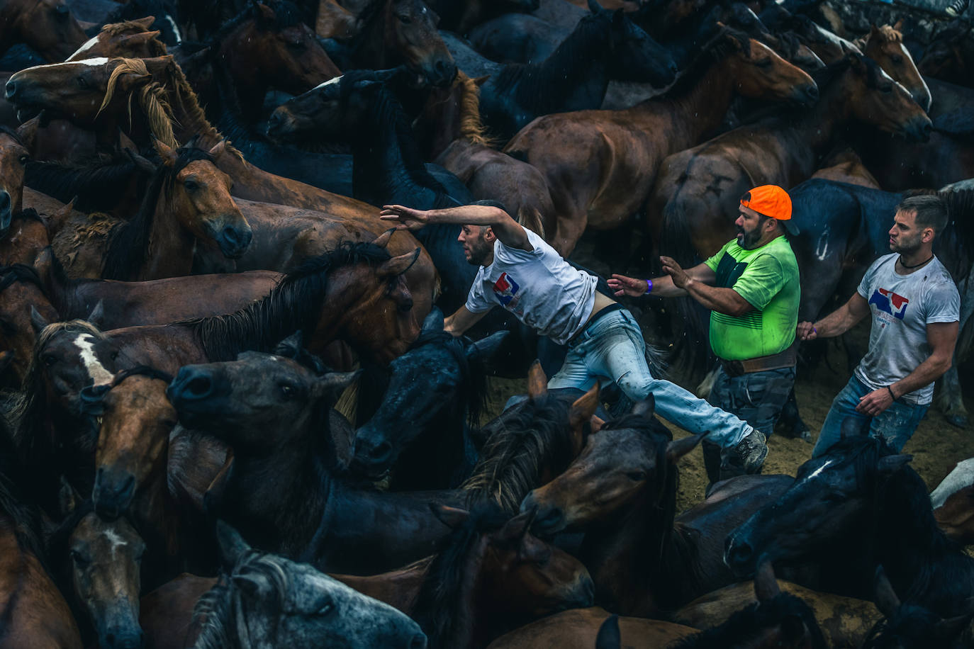 Rapa das Bestas 2022