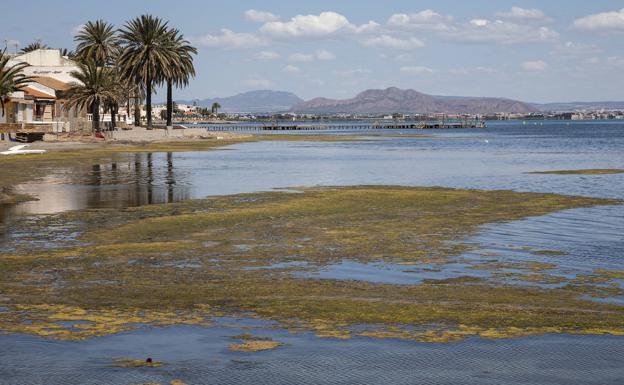 El desempleo y el Mar Menor vuelven a ser las principales preocupaciones de los murcianos