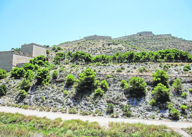 La Armada, la Policía y el Puerto de Cartagena pactan trasladar el CATE a La Algameca Chica