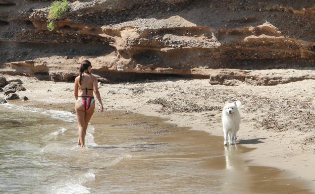 Las playas de la Región de Murcia que admiten perros