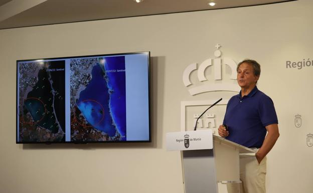 La retirada masiva de algas saca del agua el 25% del nitrógeno del Mar Menor