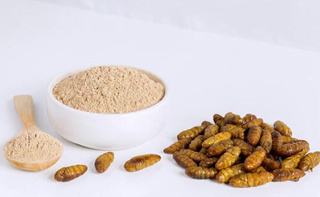 Estos son los nuevos insectos comestibles que podrás encontrar en el supermercado