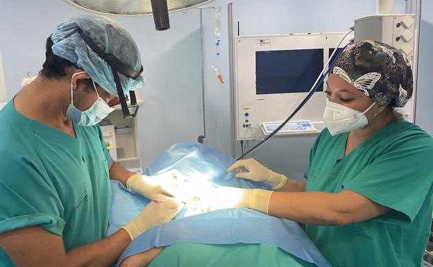 El hospital del Rosell se convierte en referencia regional para tratar el cáncer de piel