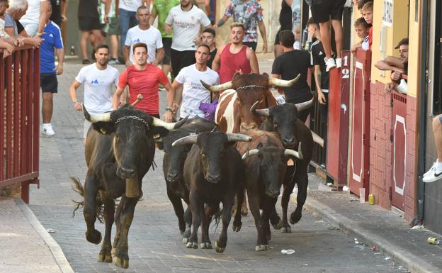 Herido de gravedad un hombre de 40 años en el último encierro de Moratalla